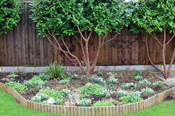 Wooden Edging Installation